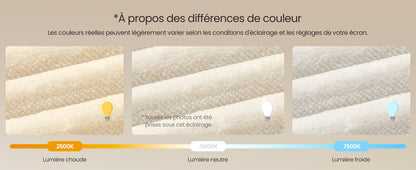 Pack de 2 Chaises Fauteuils en Velours Côtelé - Design Prestige Blanc Crème