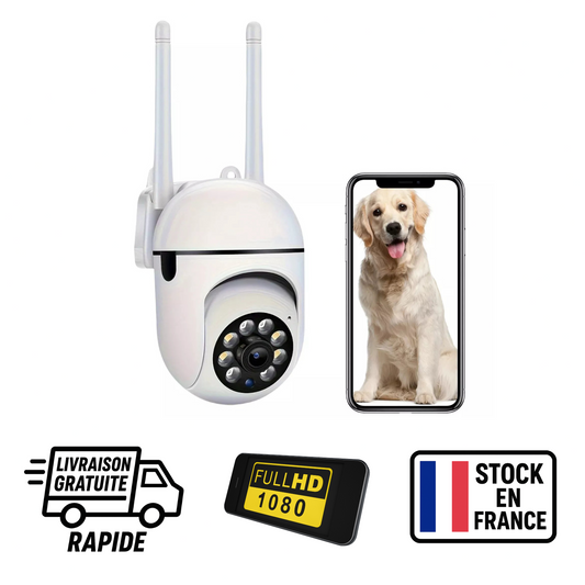 Caméra de Surveillance Extérieure Full HD 360° Sans Fil WiFi Vision Nocturne LED